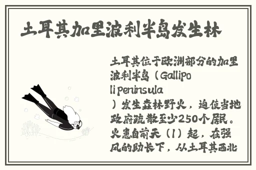 九一果冻制品厂最新电视剧何苗